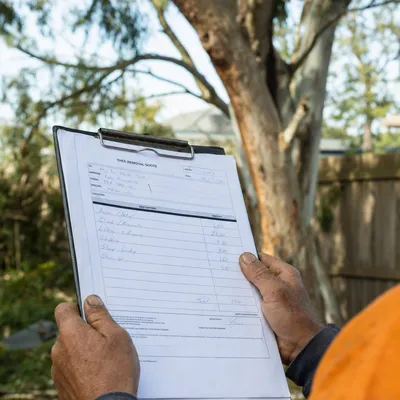 Reading a written tree removal quote on site in Albury-Wodonga