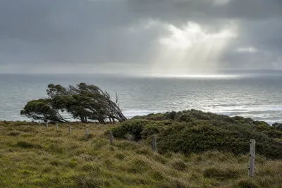 Summer storms and drought stress, Albury-Wodonga