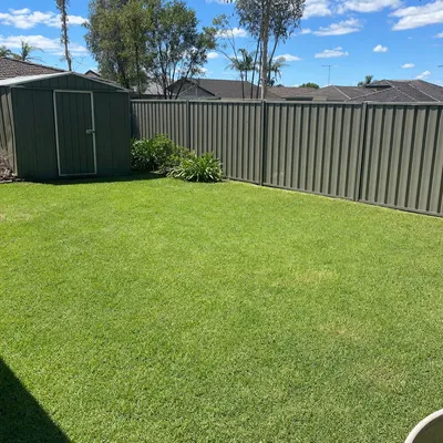 After: Summer storm, split yellow box in backyard, Albury-Wodonga