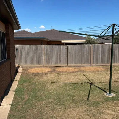 After: Old elm removal along a front fence line, Albury-Wodonga