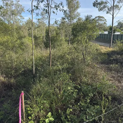 Before: Land clearing for a new shed and driveway, Albury-Wodonga