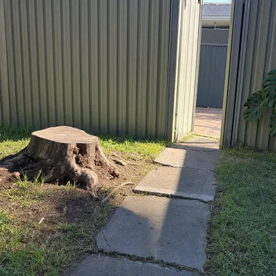 Before: Stump grind through a narrow Lavington side gate, Albury-Wodonga