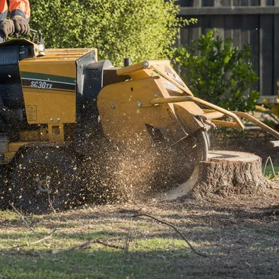 Stump Grinding in Albury-Wodonga. Grinding below grade so the area is ready to returf, repave or replant. Narrow-access machines for tight backyards on both the Albury and Wodonga sides.