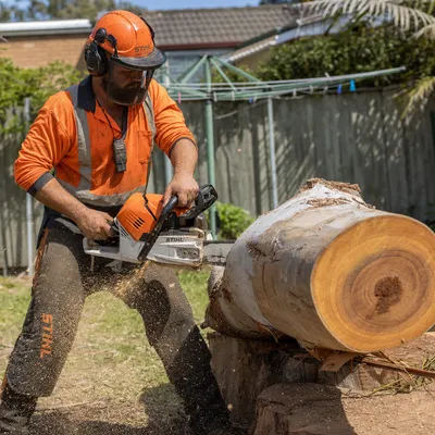 Tree Removal in Albury-Wodonga. Safe sectional take-down of dead, damaged or unwanted trees across Albury and Wodonga, including river red gums and large species near houses and fences.