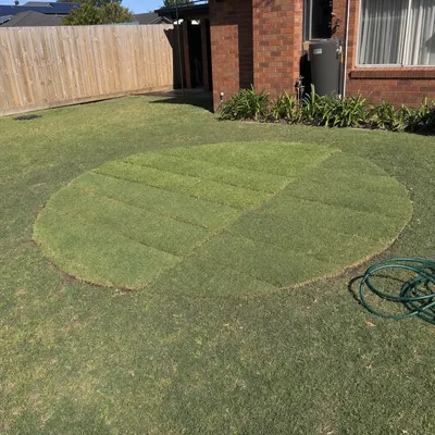 Stump ground 150–300mm below grade, Albury-Wodonga